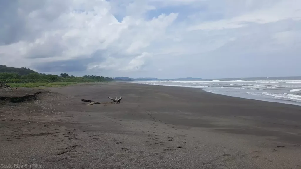 Ostional Beach 10 playa ostional costa rica 11 - magicalsunsetcostarica.com
