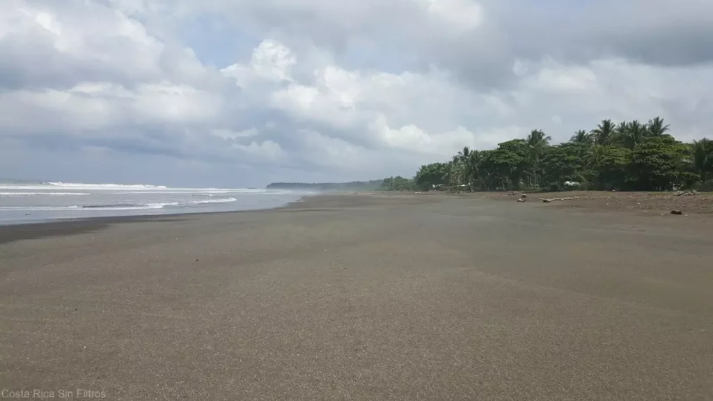 Ostional Beach 8 playa ostional costa rica 5 - magicalsunsetcostarica.com